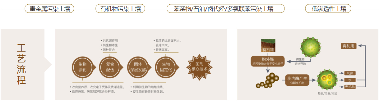 污泥处置、土壤修复 