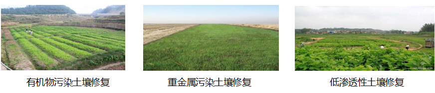 污泥处置、土壤修复 