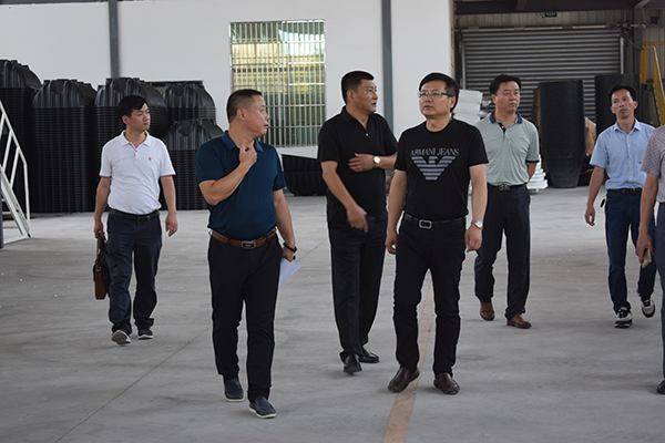 县政府领导至我企业调研走访