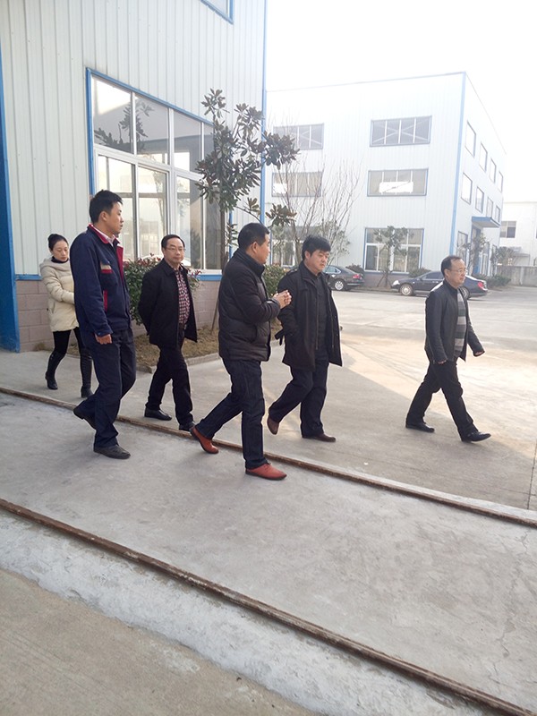 安庆市纪委领导来我司督查县招商引资项目进展情况